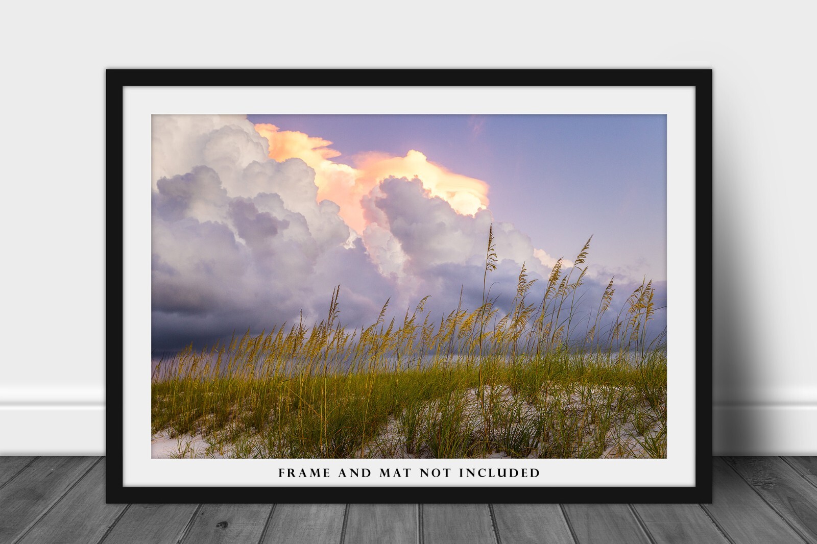 Gulf Coast Photography Print | Coastal Beach Picture | Alabama Wall Art