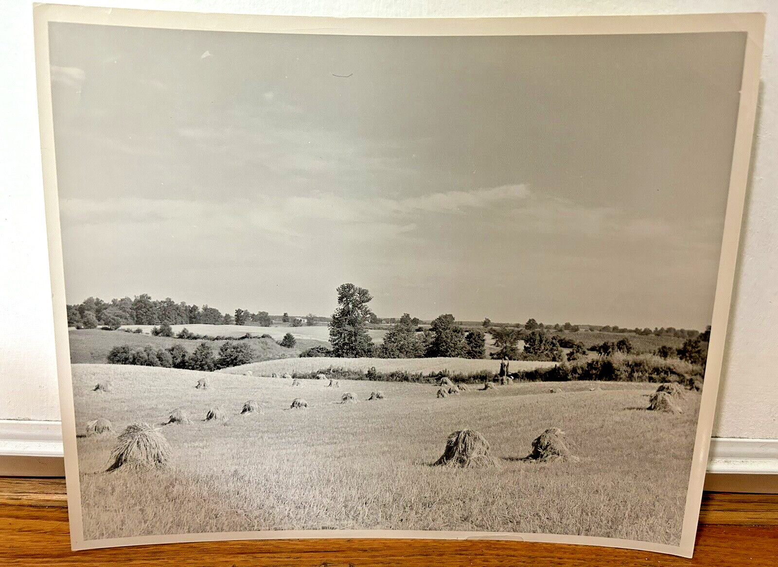 Arthur Gray Standard Oil Photographer Cleveland Ohio Americana Haystacks Monet!!