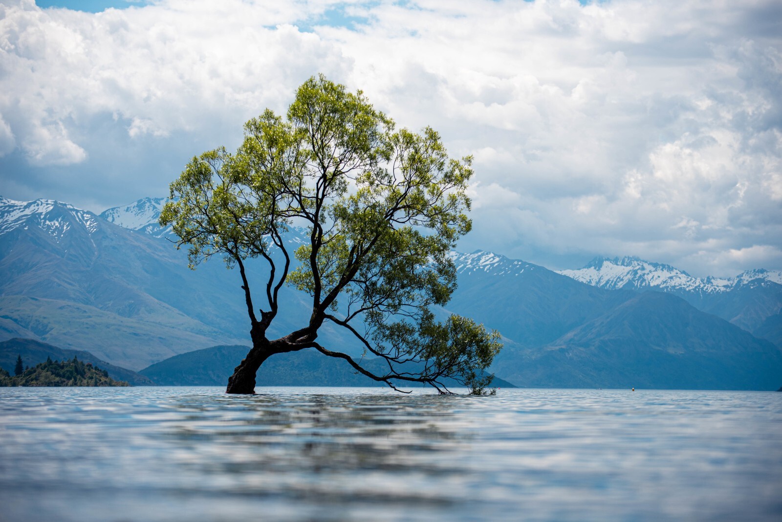 Digital Picture Image Photo Wallpaper Background Desktop Mountain Tree Lake