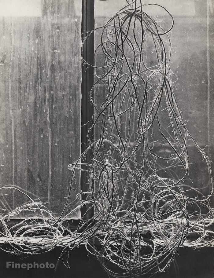 1932 Vintage EMMANUEL SOUGEZ String In Window Still Life Photo Gravure Art 16×20