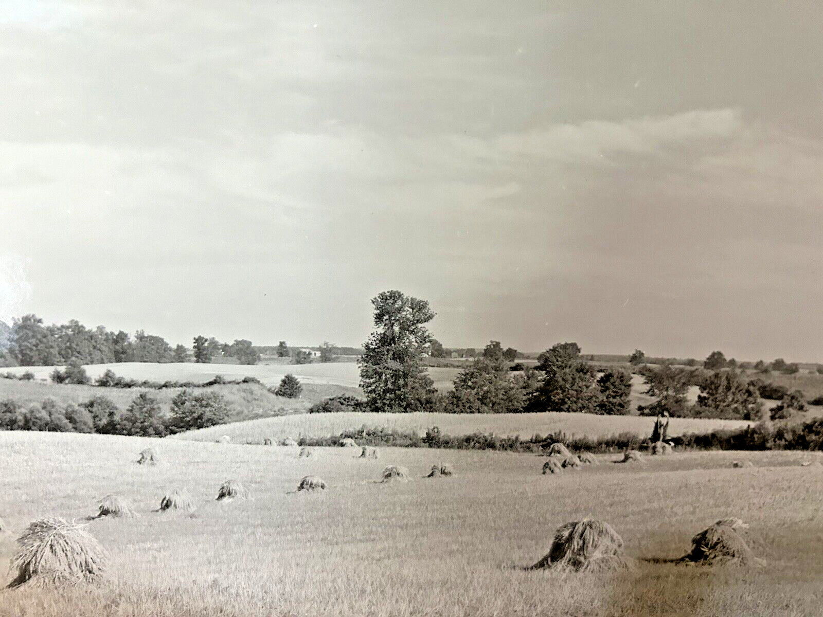 Arthur Gray Standard Oil Photographer Cleveland Ohio Americana Haystacks Monet!!