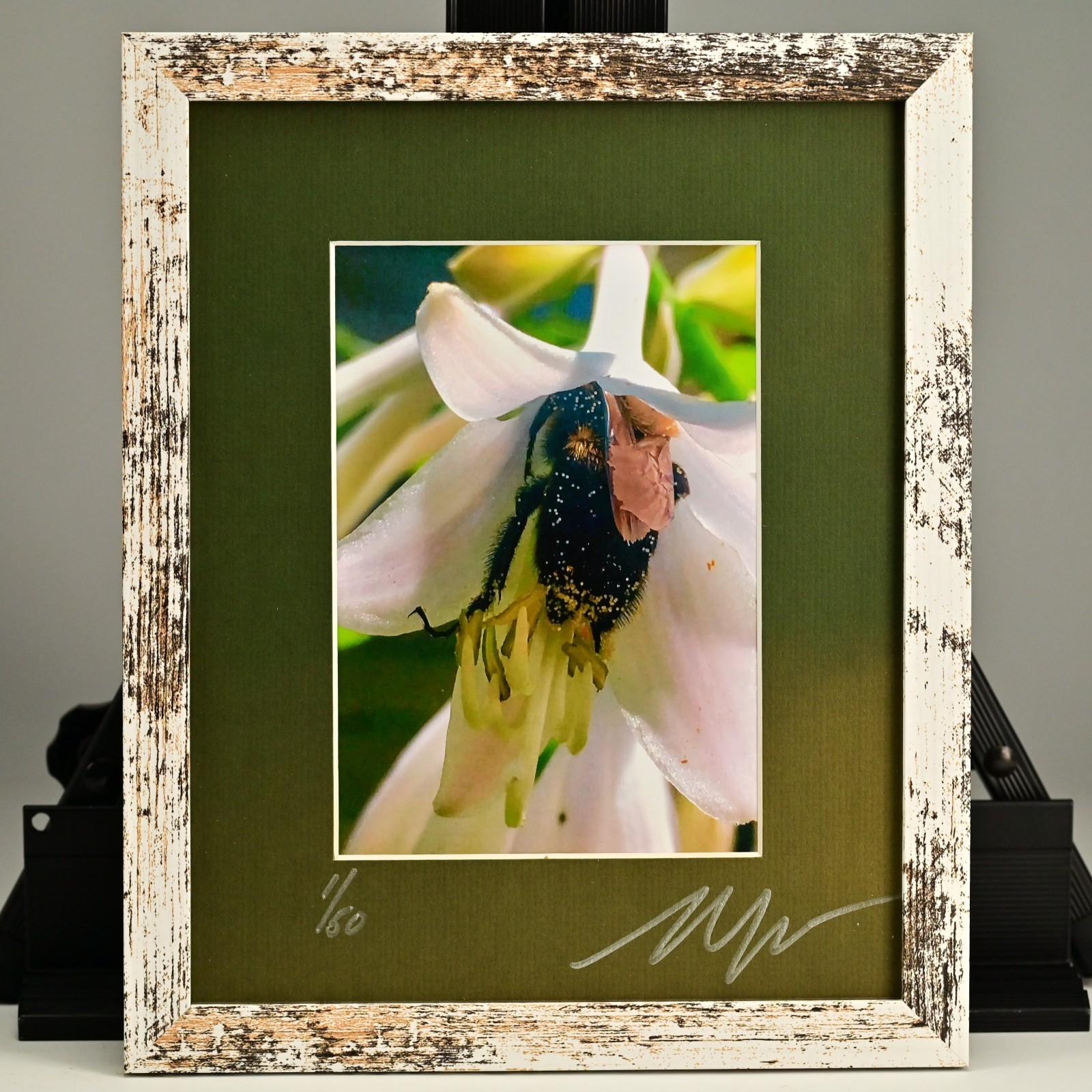 MICHAEL RAY Original Vintage Signed Long Island NY Floral Still Life Photograph