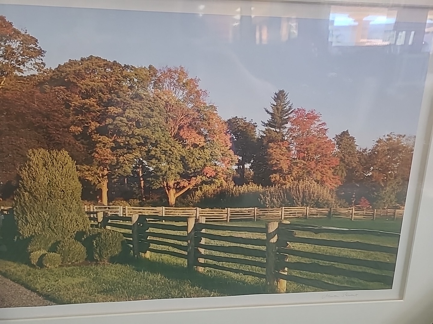 Martha Stewart ”’SET OF 4 FRAMES OF YOUR CHOICE ”’ NEW