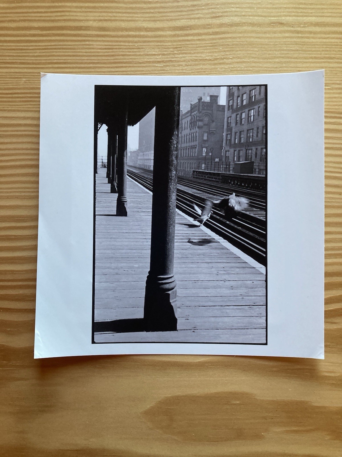 ESTATE STAMPED LEONARD FREED NEW YORK CITY ‘DOVES’ 1956 LTD 6 x 6 MAGNUM PRINT