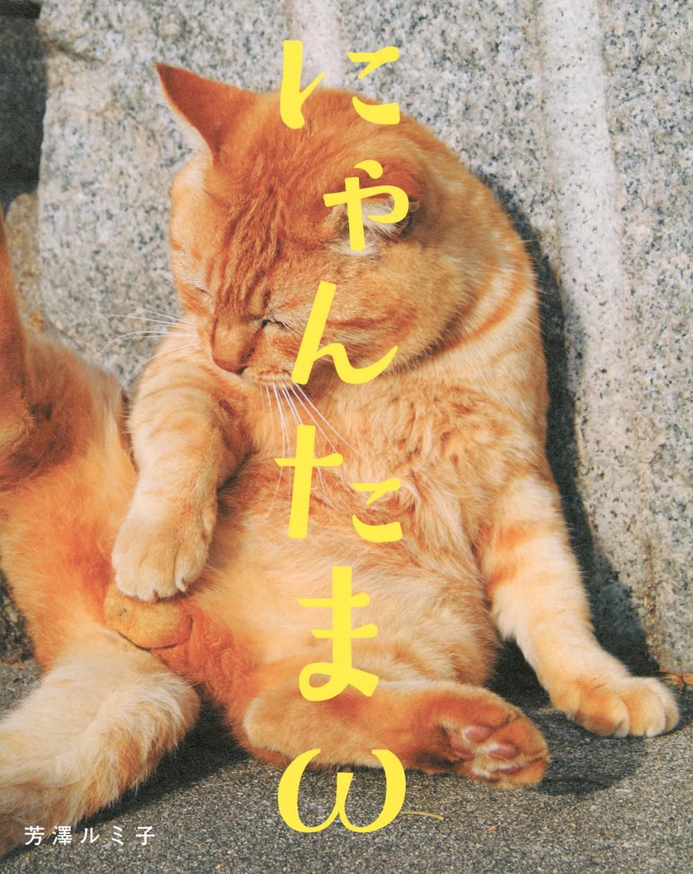 Nyantamaω Adventures of Imaginative Cats