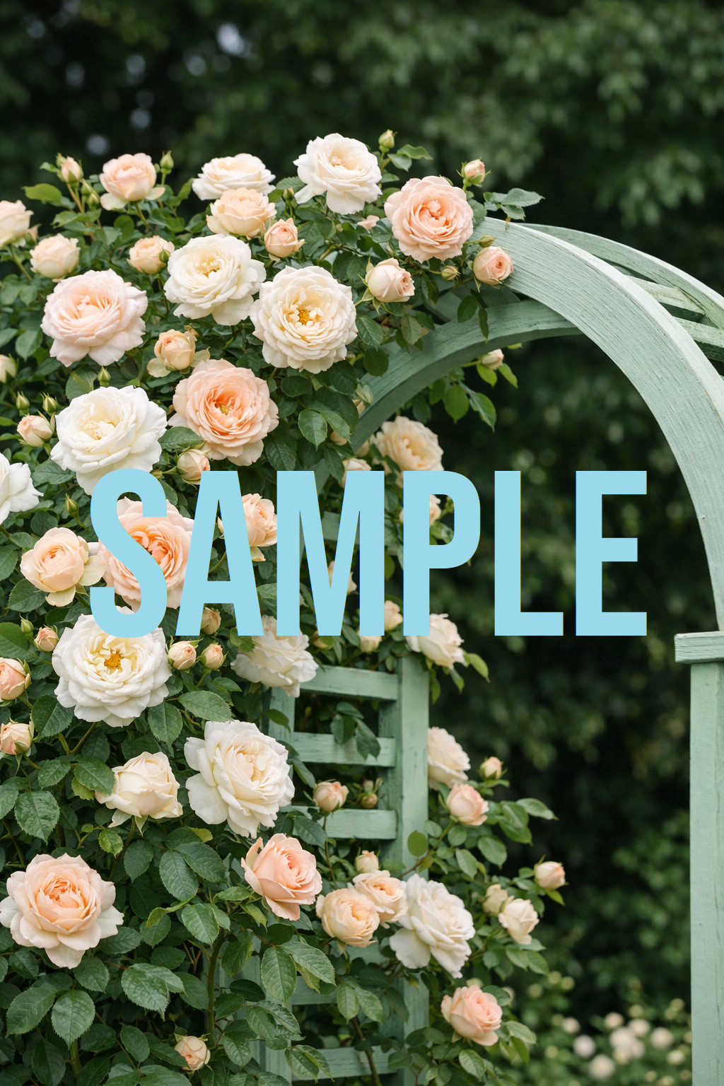 Digital Download Art Photo Image Wallpaper Background Desktop Printable Flowers