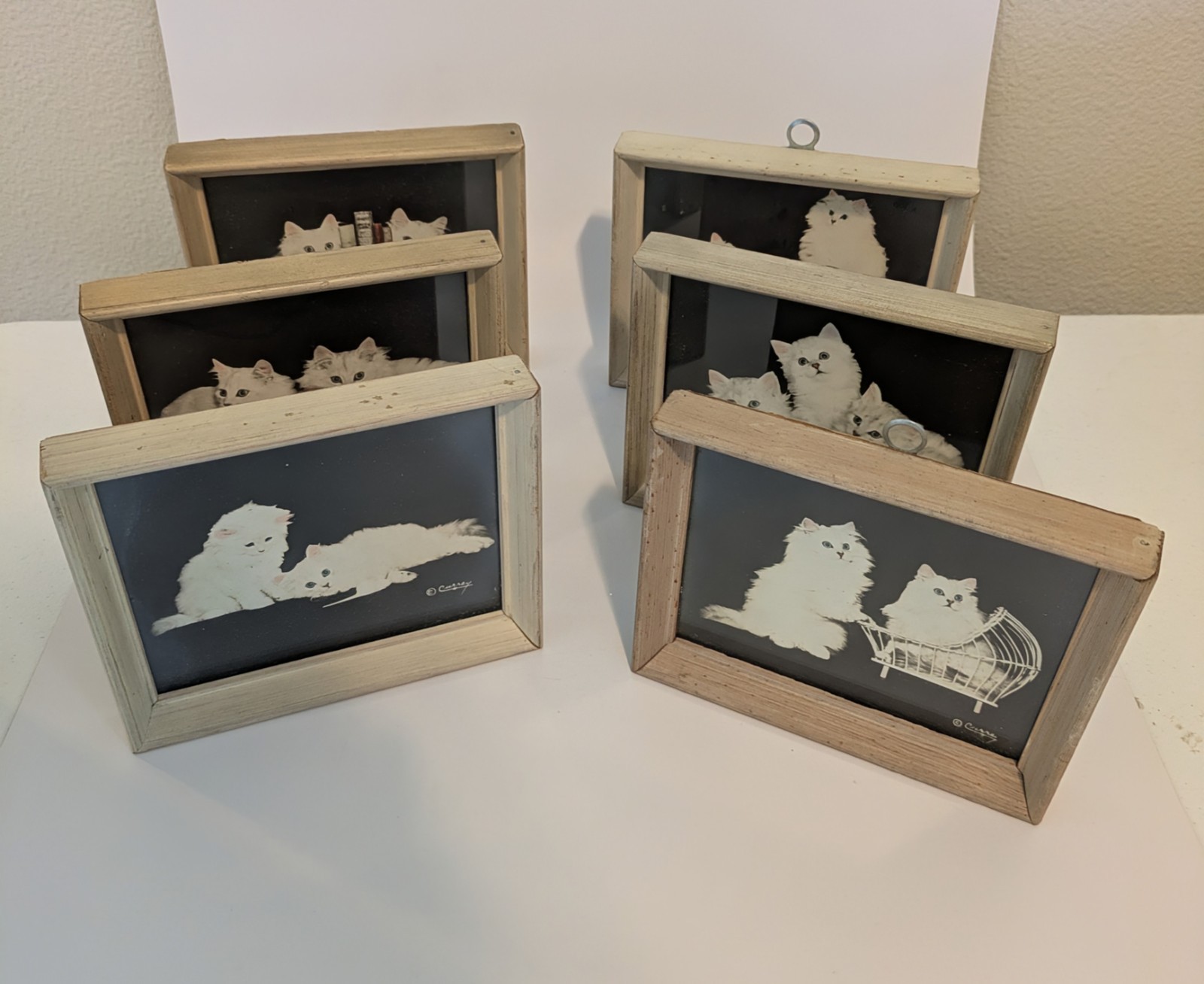 Bradley R Currey Cats Pictures Lot Of 6 White Cats 5.5″ X 4.5″ Piano Books Chair