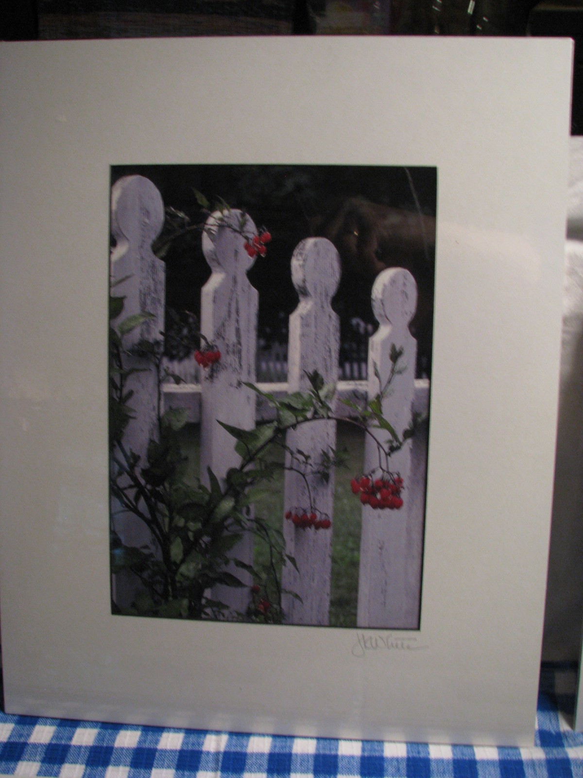 J. K. White Hope Maine Five Matted Signed Photographs Summer Scenes
