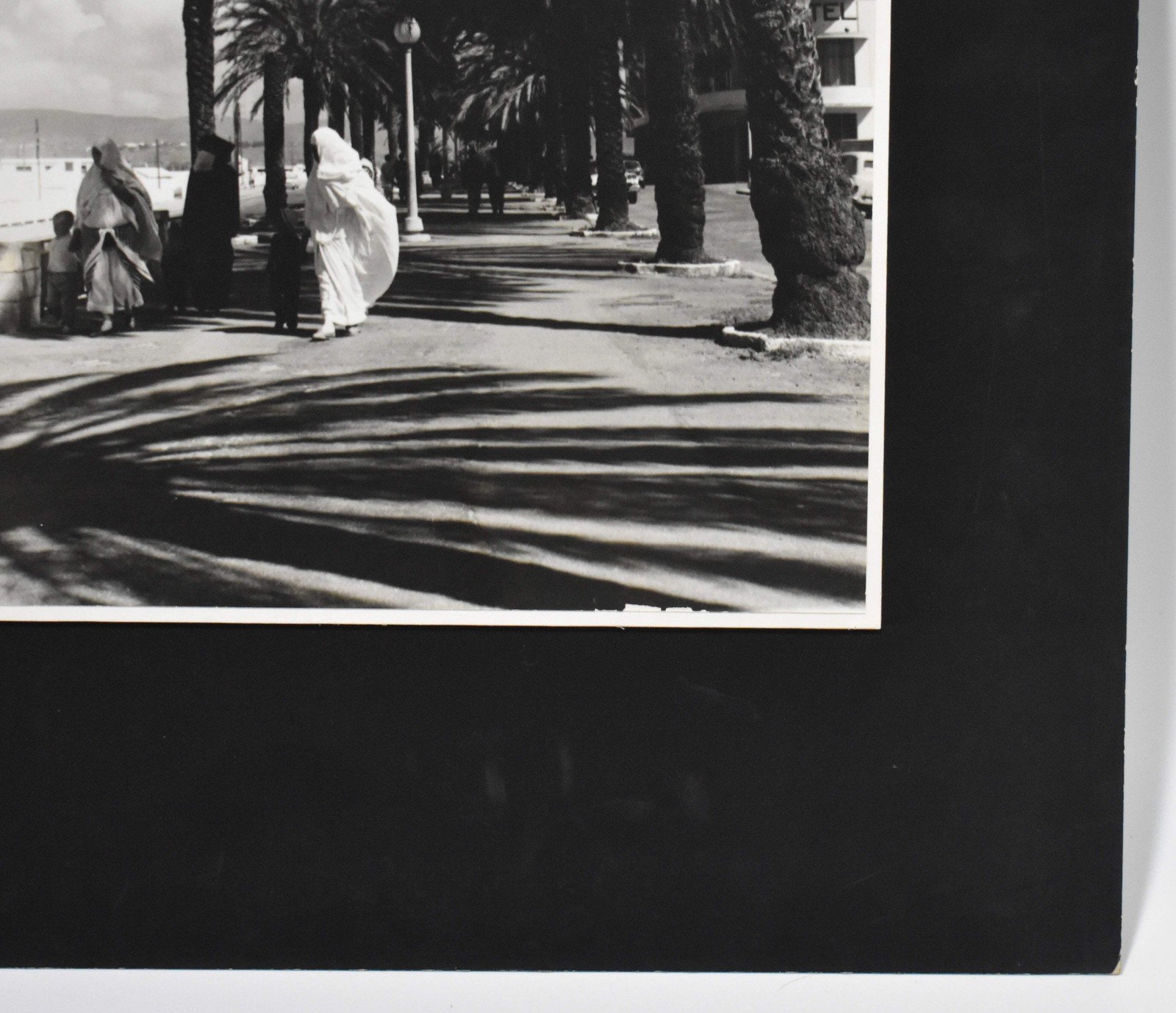Vintage James W. Howlett Black and White Photograph, ‘Morrocan Palms’
