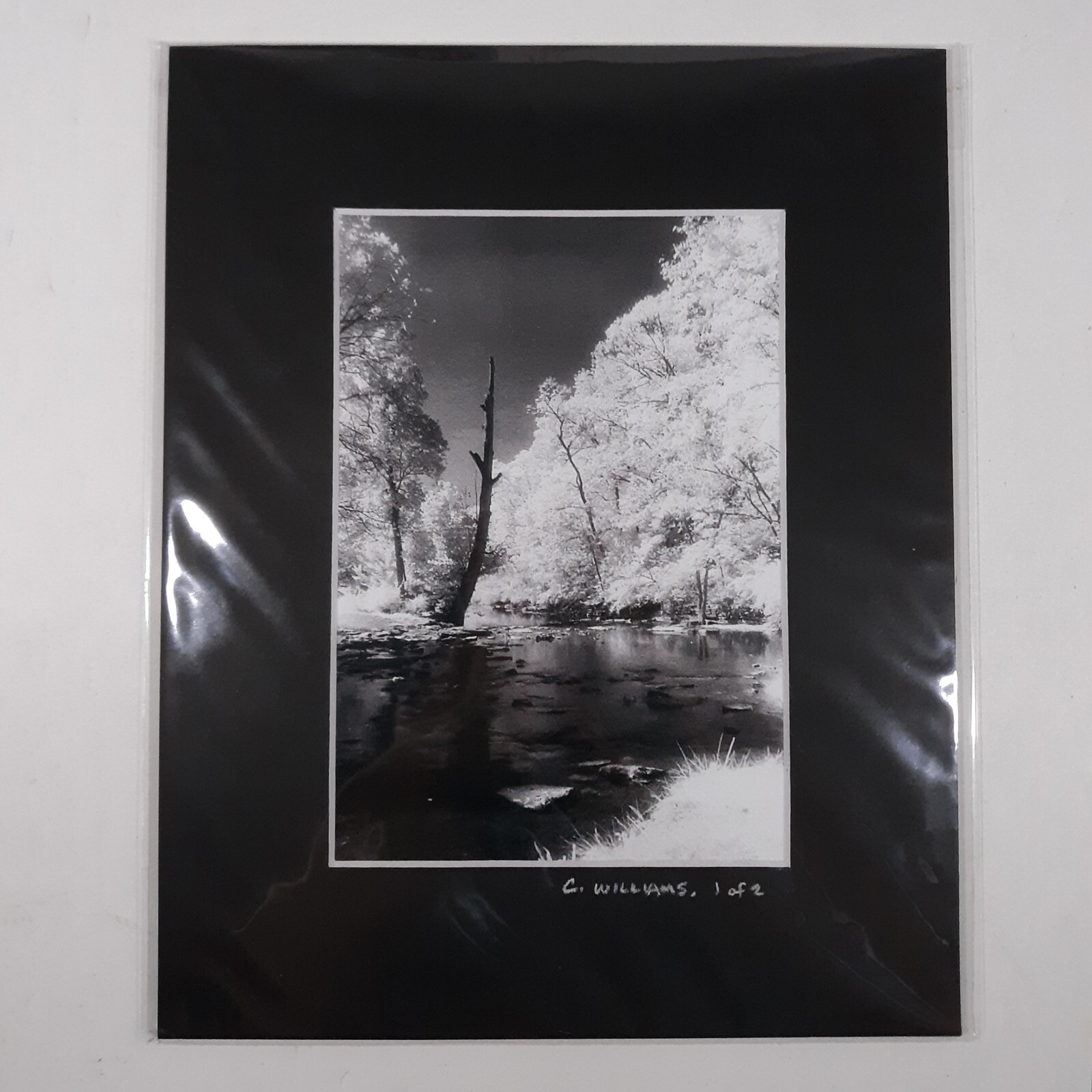 Black Mat Photo Landscape Park Infrared Photography Limited Ed 1/2 Signed Print