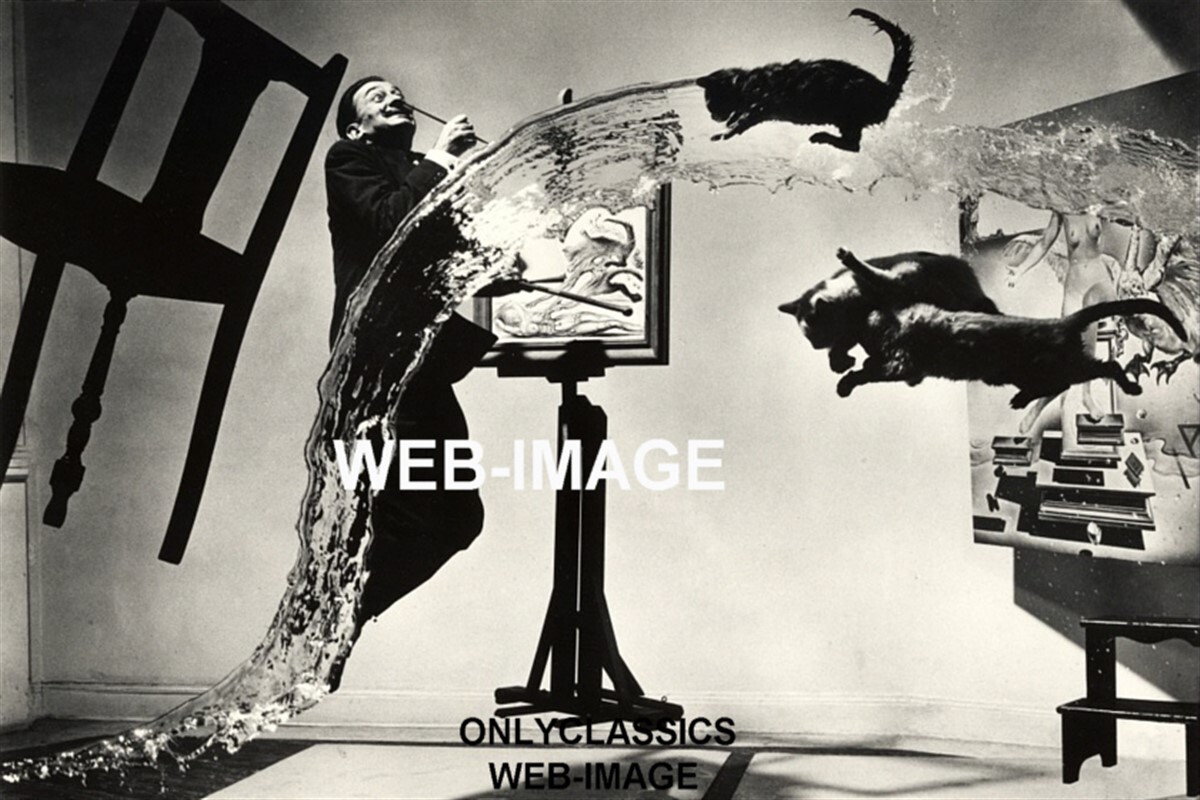 SALVADOR DALI “THE FLYING CAT” SURREAL ARTIST WILD REAL PHOTO ABSTRACT ART ICON