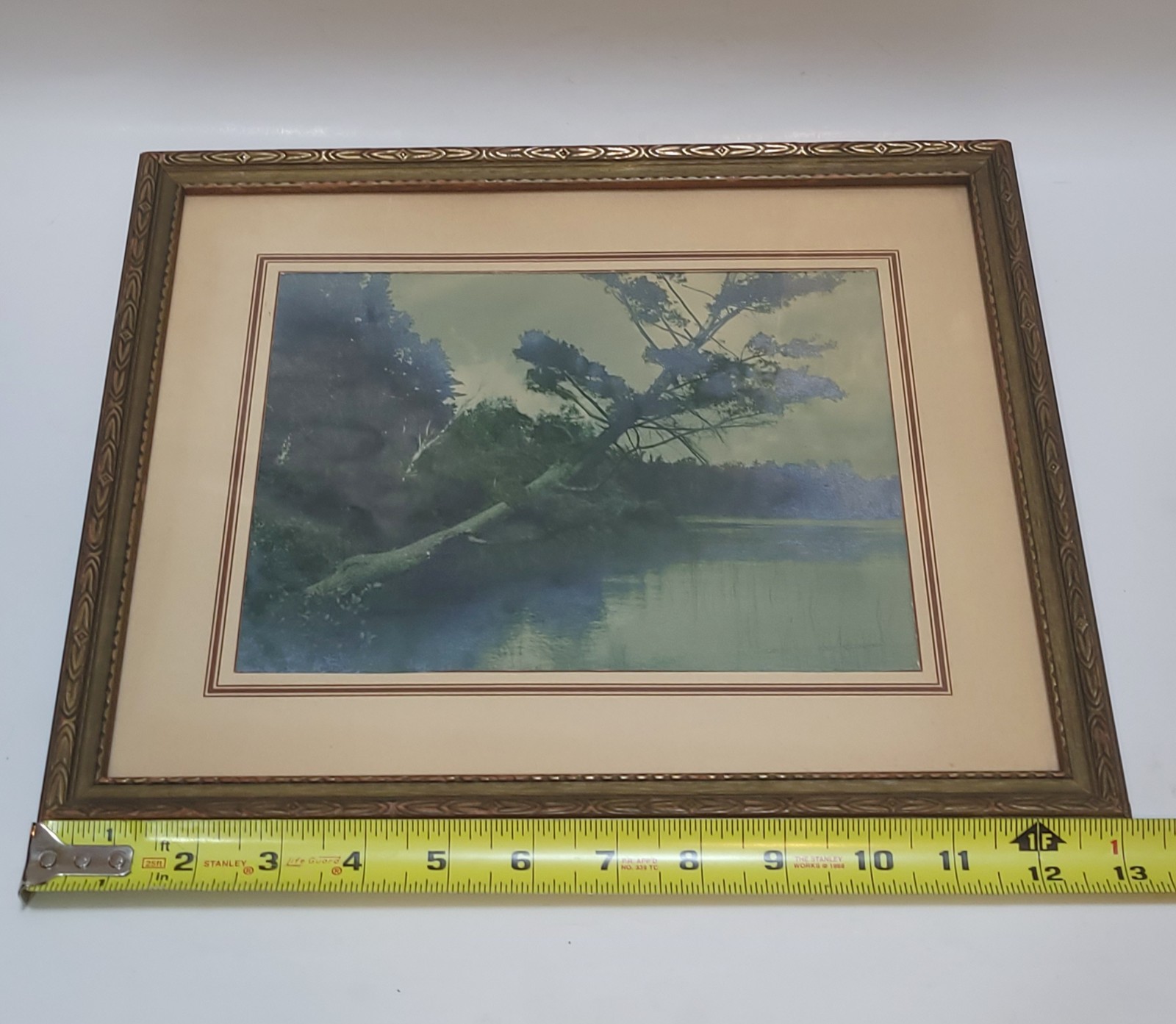 Vintage Scenic Photograph Framed Art Lost Lake Michigan, Trees Antique Art 1939