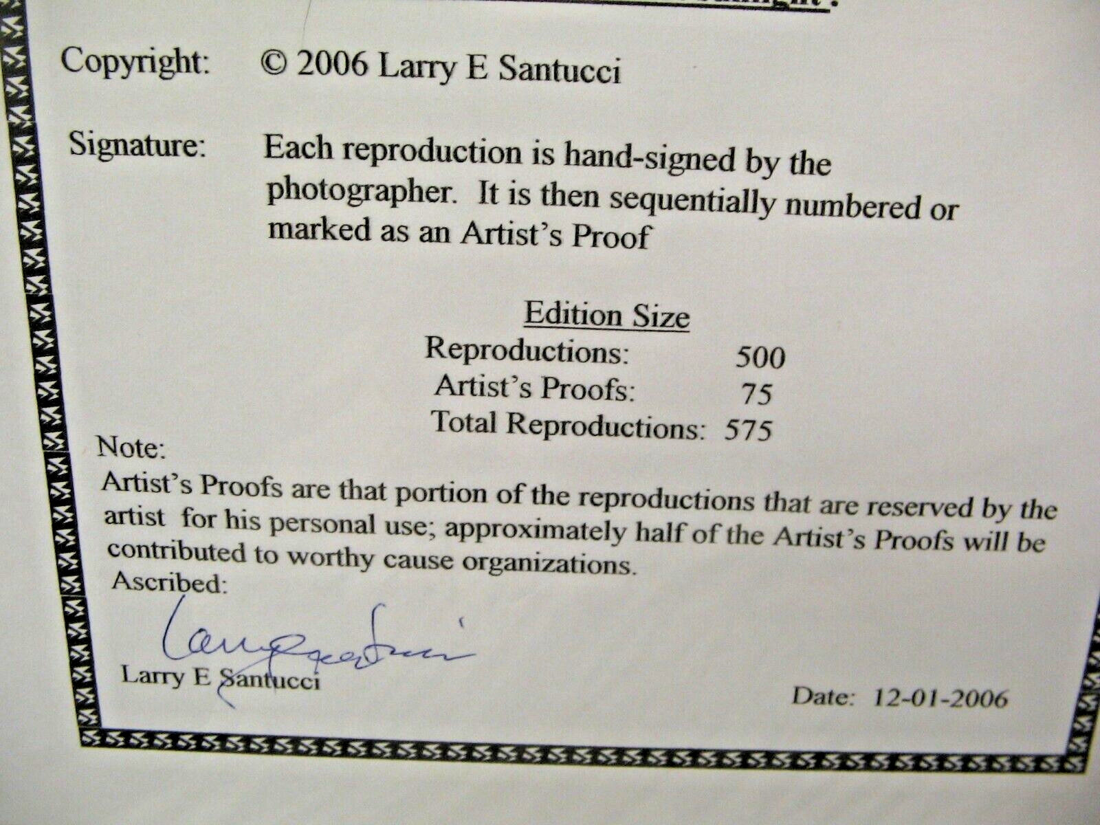 ART PHOTOGRAPHY 16×20 Pelican Perch B&W A/P Matte Acid Free by Larry Santucci
