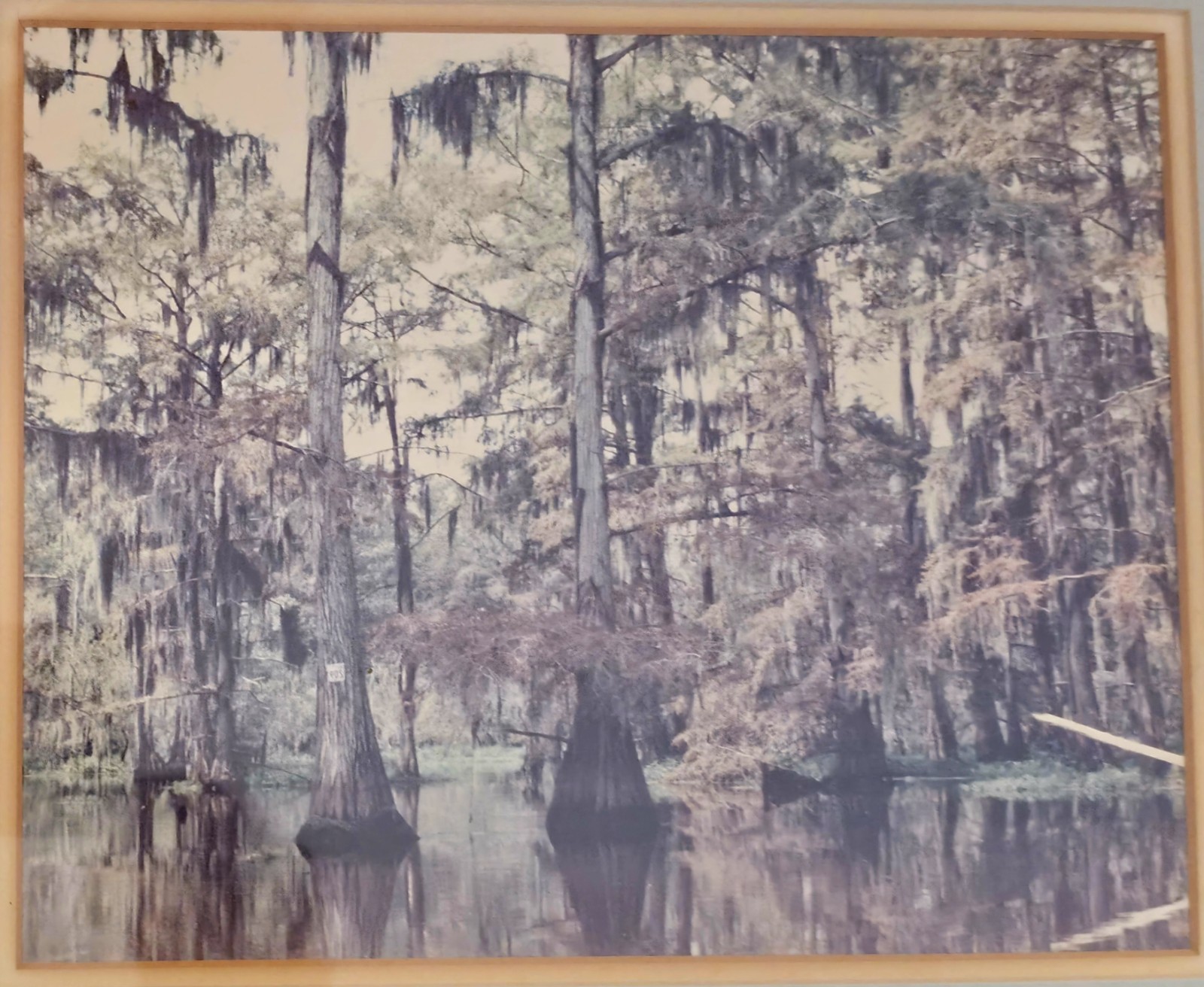 Original 1985 Cypress Swamp Watercolor Painting – Framed Southern Folk Art