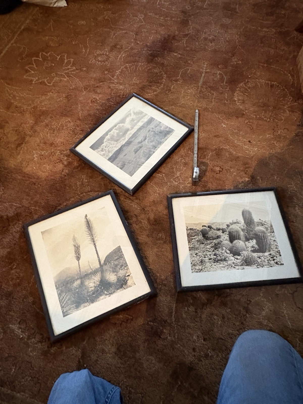 Mid Century Modern Southwestern Art Photographs Desert Cactus Mountains Sky