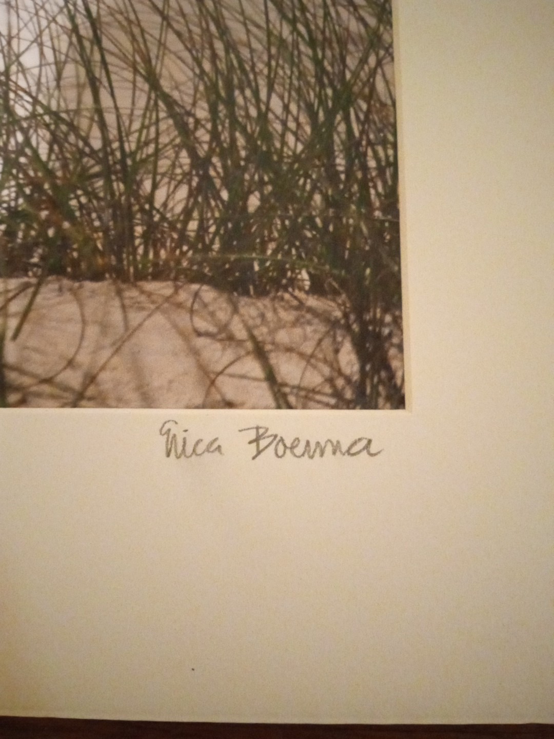 BLUE HERON Art Print Photography Signed Erica Boerma
