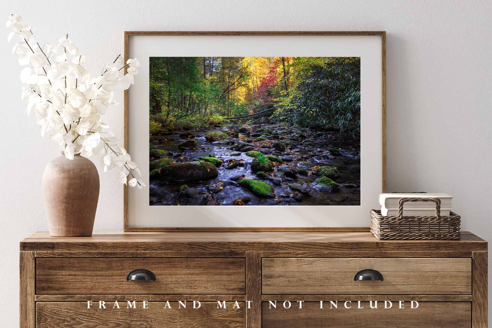 Forest Photography Print – Picture of Creek in Great Smoky Mountains Tennessee