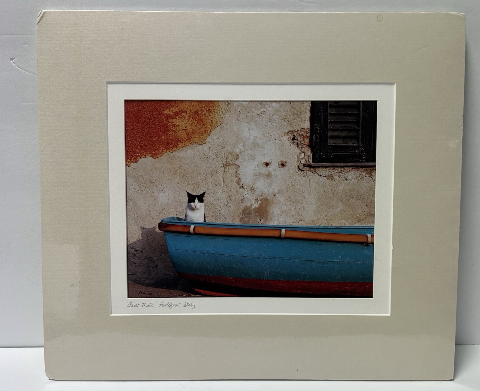 John And Debora Scanlan AP Italy Cat Photograph Print With COA Signed Numbered