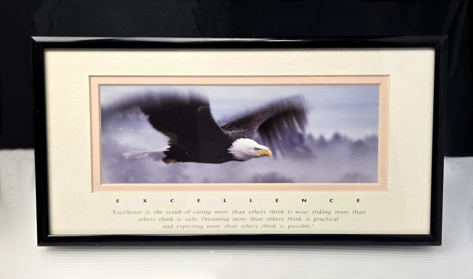 Excellence King Of The Skies Eagle Photo Art Framed Frank Oberle Photography