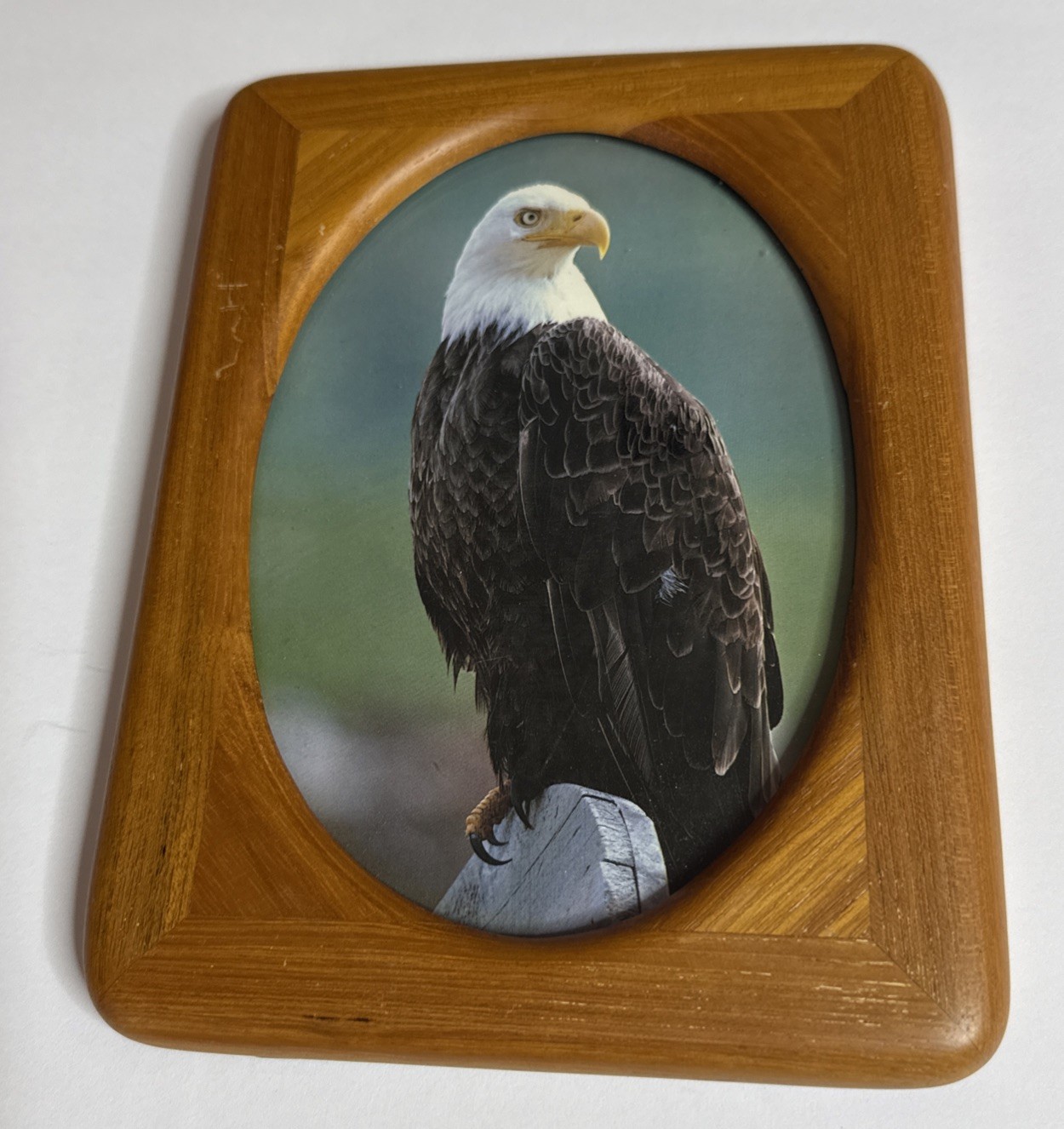 Wood Picture Frame 8×6 -Oval Opening- Bald Eagle Photo Rustic Decor