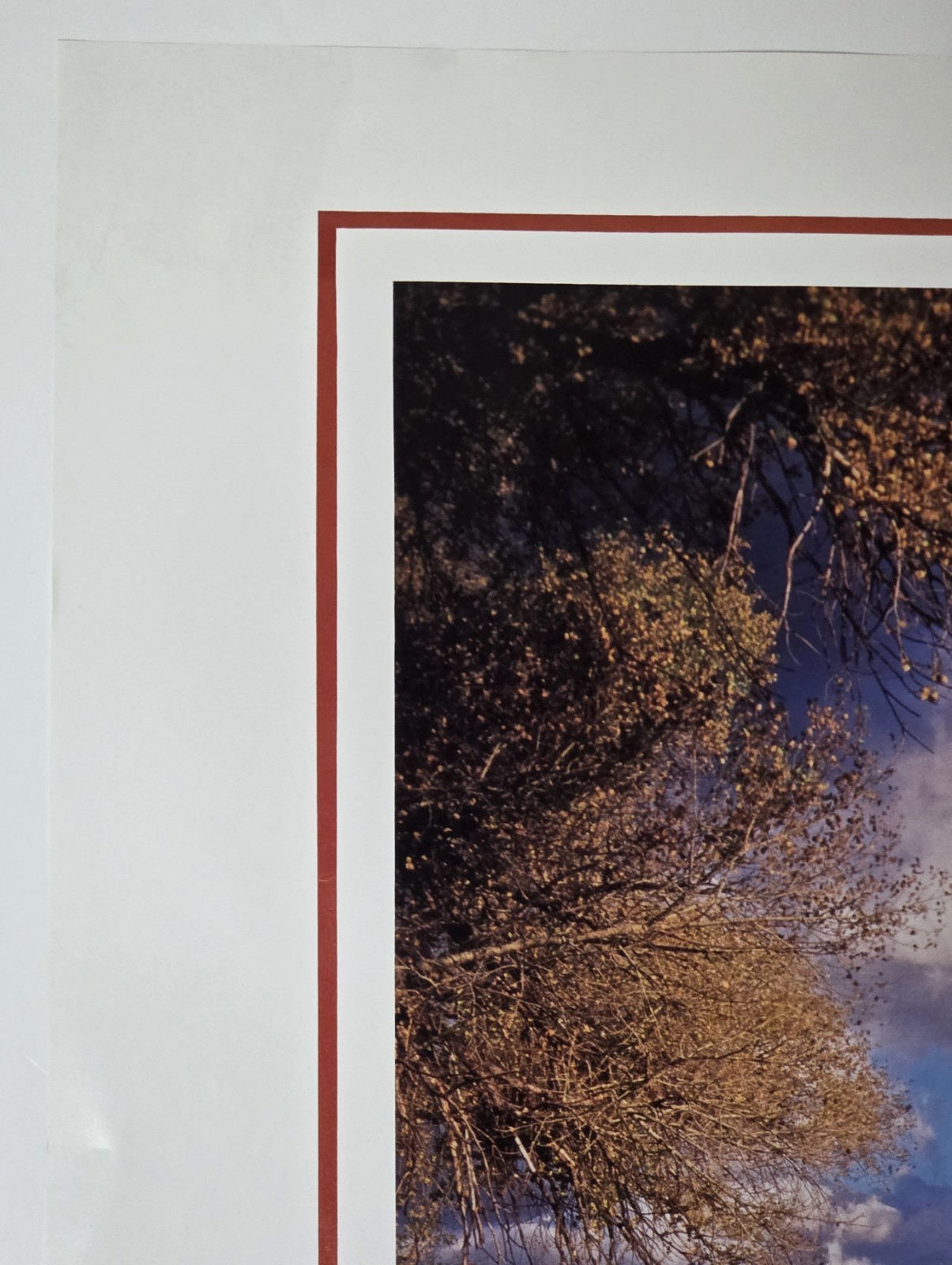 Cathedral Rock Sedona Arizona Lou DeSerio Signed Desert Art Photo Poster 1993