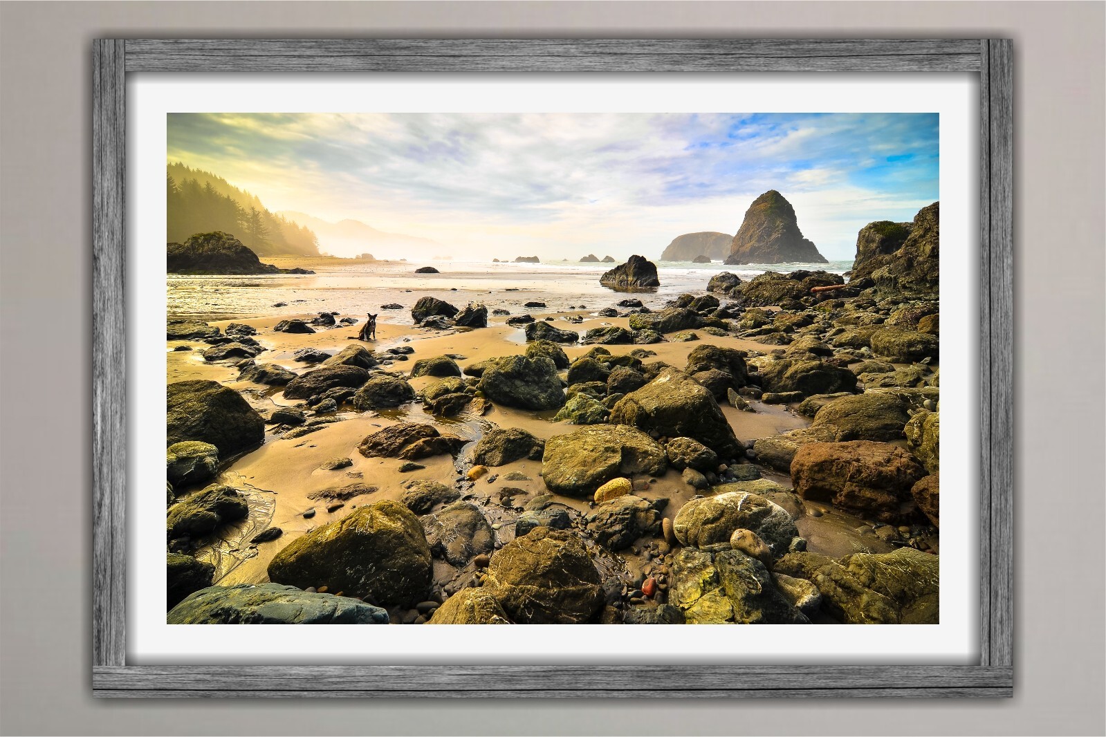 Whaleshead Beach – Southern Oregon Coast – Fine Art Photography Prints