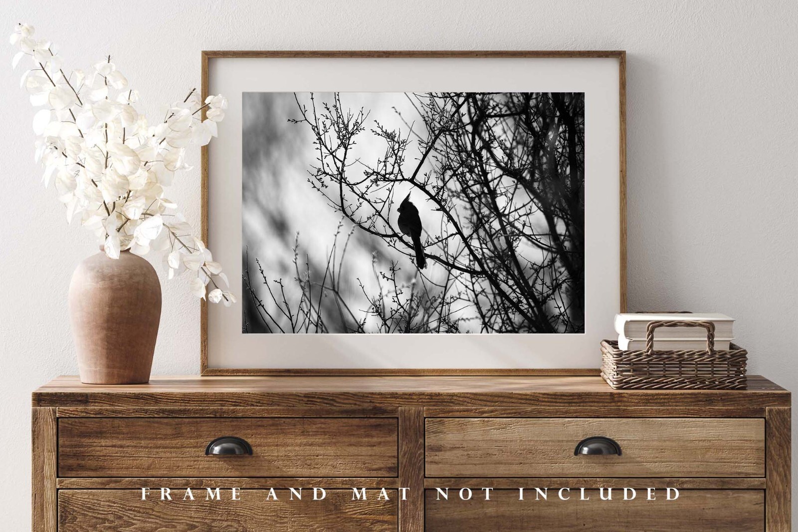 Cardinal Photography Print: Arizona Black & White Bird Desert Southwest Photo