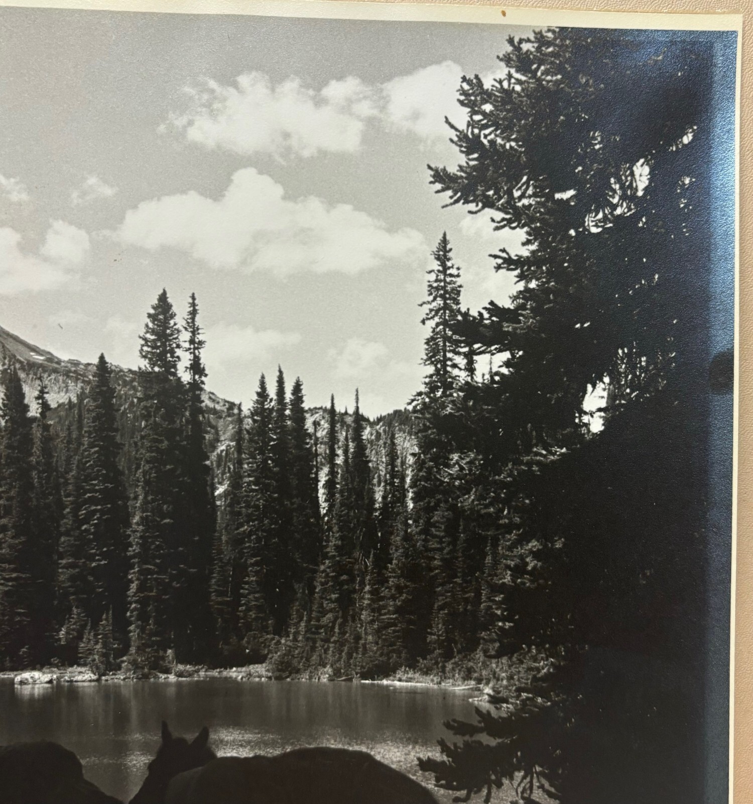 Original HARRY ROWED ‘Morning in the Valley’ Horseback in CANADA Mountains PHOTO