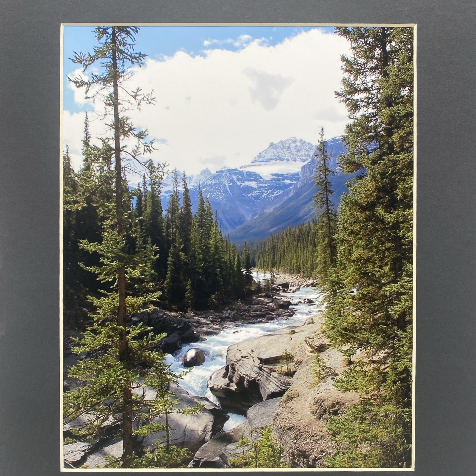 Matted Forest River Landscape Photo Print 11 X 14 Wall Art Gallery Decor