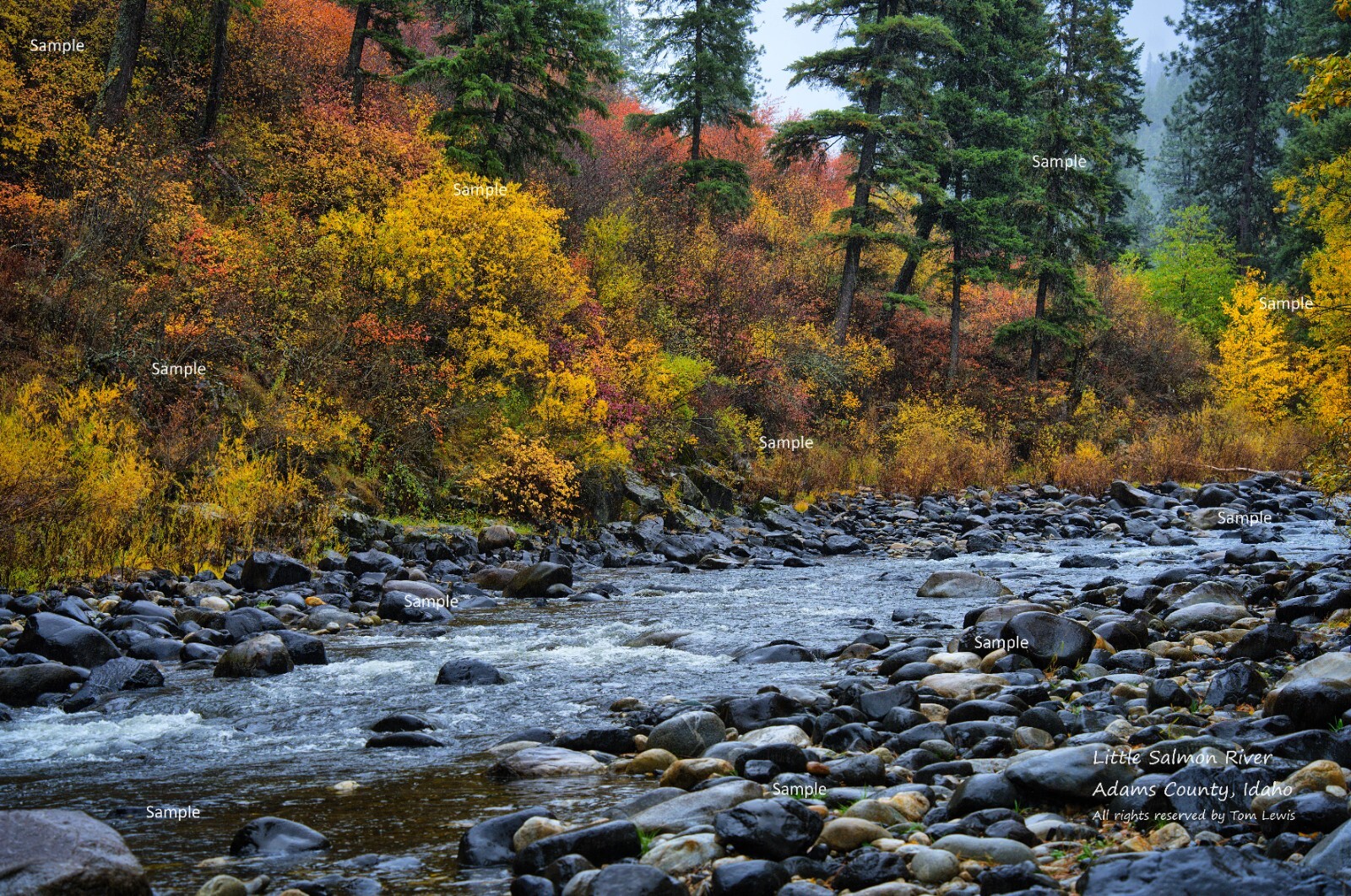 Little Salmon River October Adams County Idaho Mountain Poster Photo Print LS01