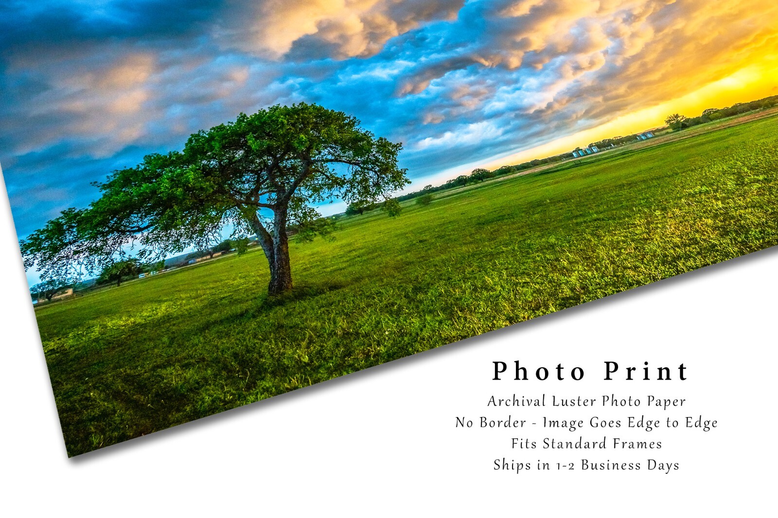Storm Clouds Photography Print: Texas Sunset Sky Landscape Tree Weather Photo