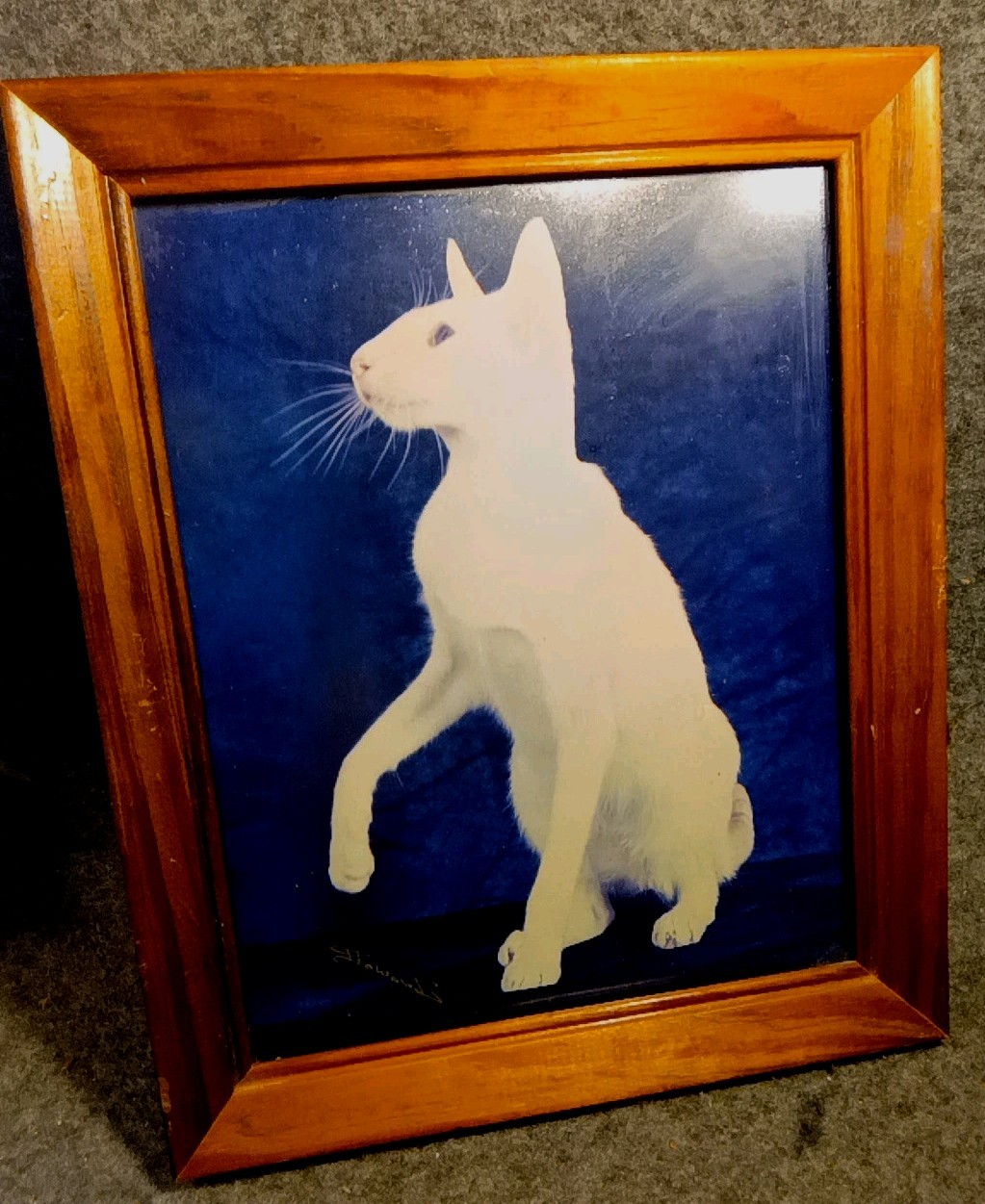 White Cat On Blue Black Background Manipulated Photograph? Original Signed Art.