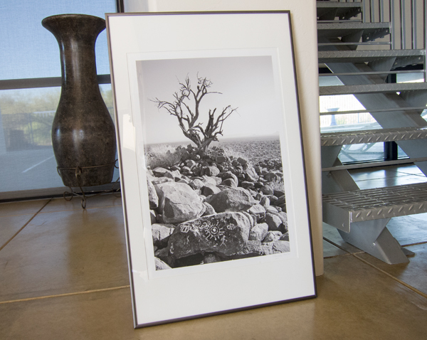 Photograph of Southwestern Desert in Black and White with Formal Metal Frame