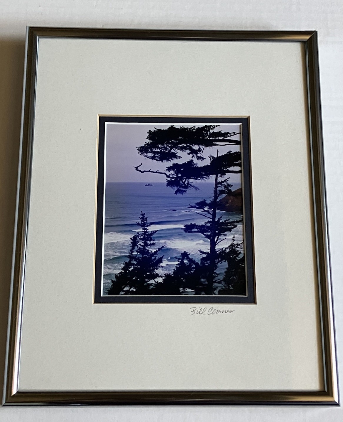 Oregon Coastal Photograph Ecola State Park Framed/ Matted Bill Coons 10 X 8 Inch