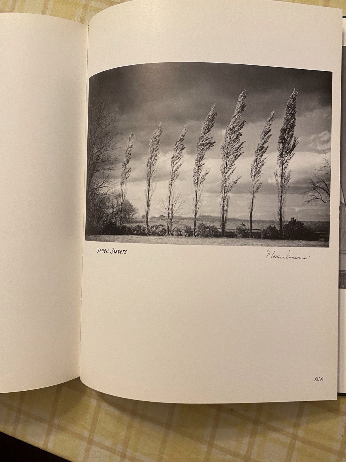 Painting With Light By F William Sunderman 1st Edition – Signed -Excellent