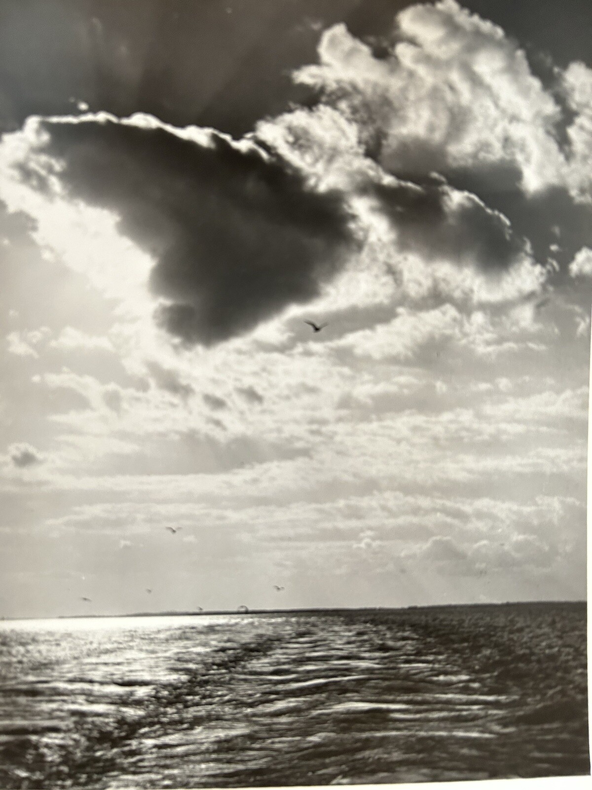 Arthur Gray Standard Oil Photographer Cleveland Ohio Americana Seascape Look!!