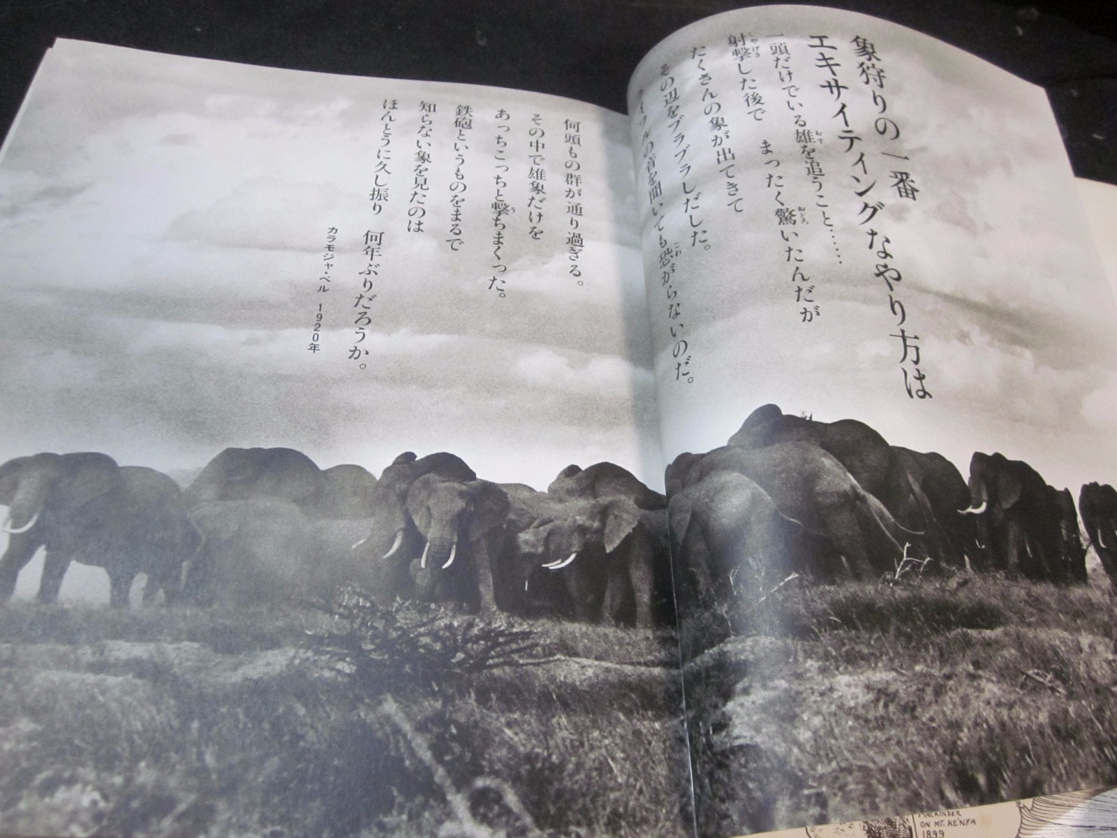Peter Beard Photo book THE LAST WORD FROM THE PARADISE 1979 1st. edition Japan