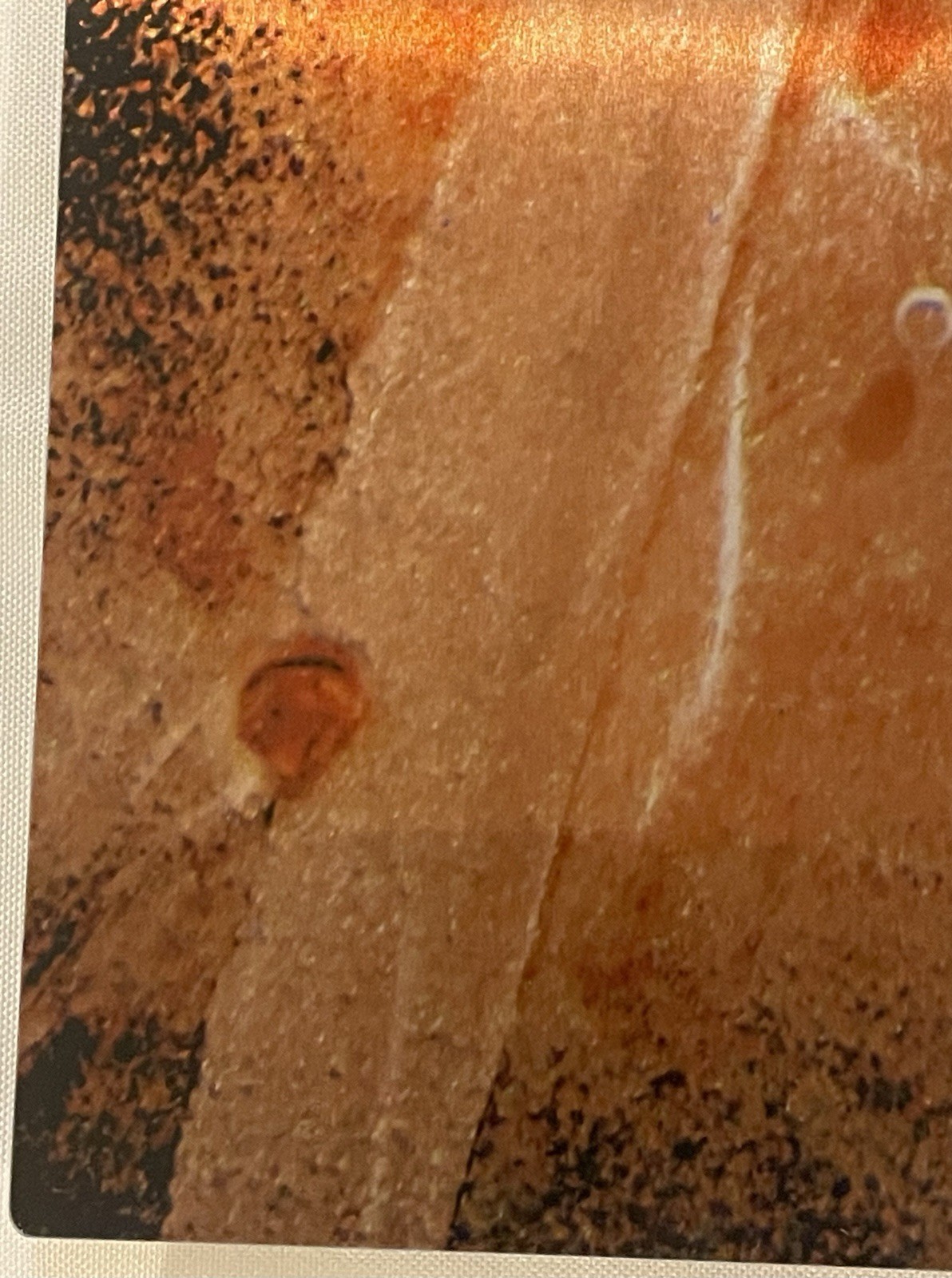 Original Photograph On Metal Sedona,Arizona By Claudia Cooke