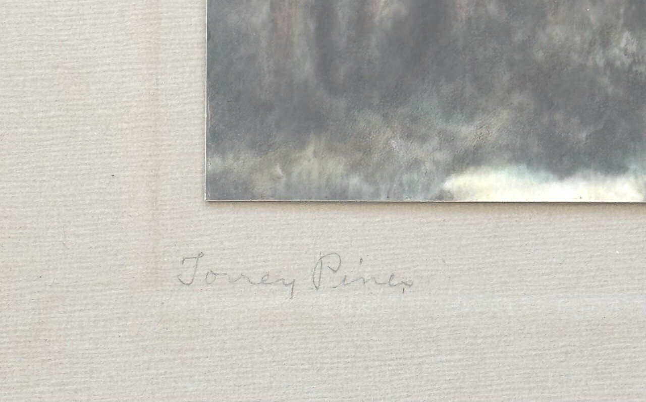 Lg VTG J.M. Garrison Hand Tinted Oil Color Photo Torrey Pines 12.5”x23.5” VGC