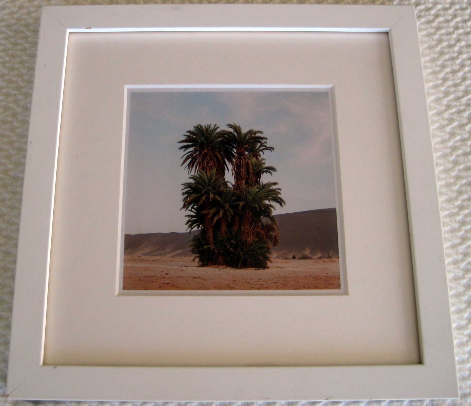 M’hammed Kilito Fine Art Color Photograph of Moroccan Oasis Framed