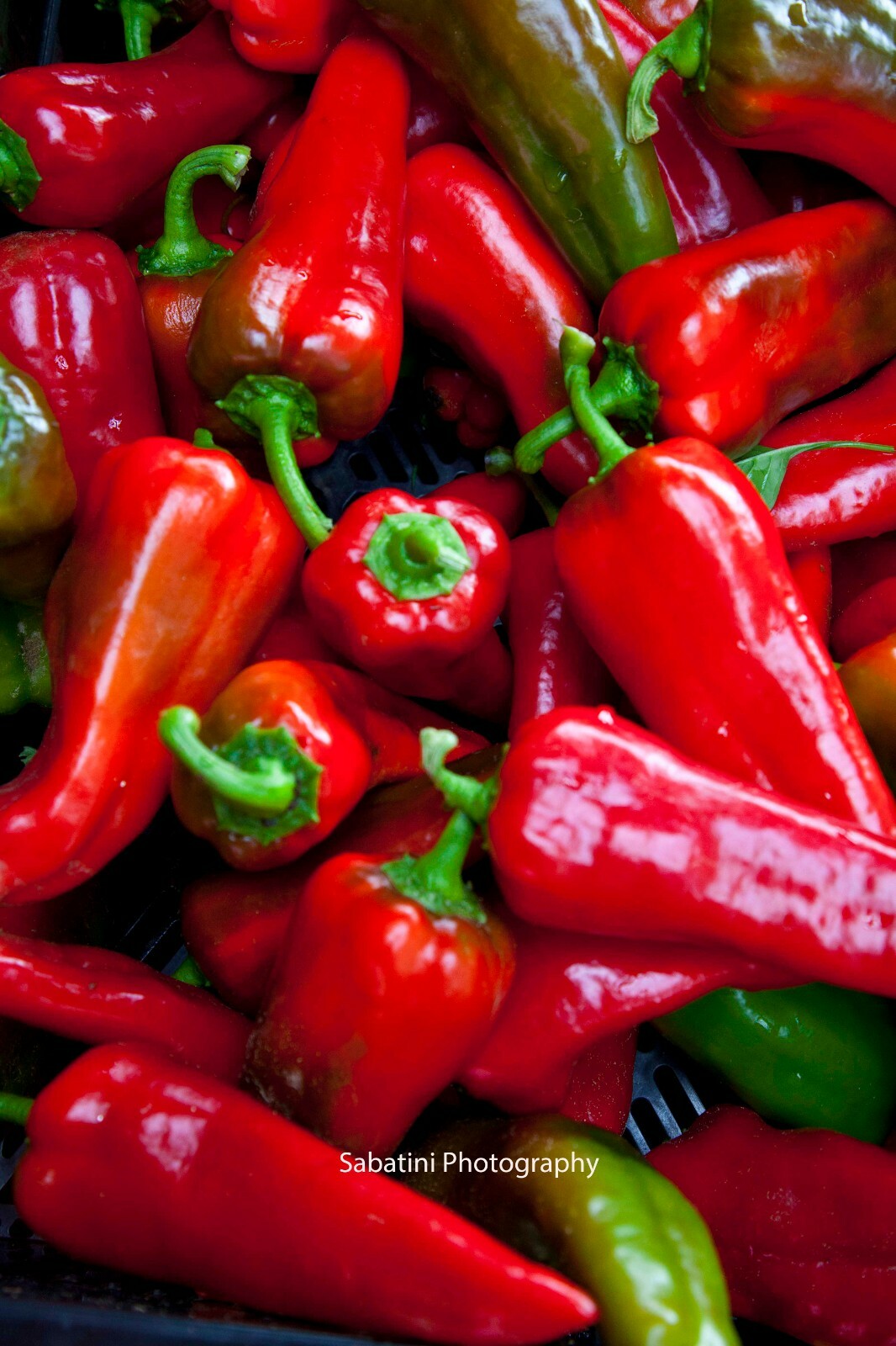 Red Peppers, 11 x 14 Print Metallic Paper