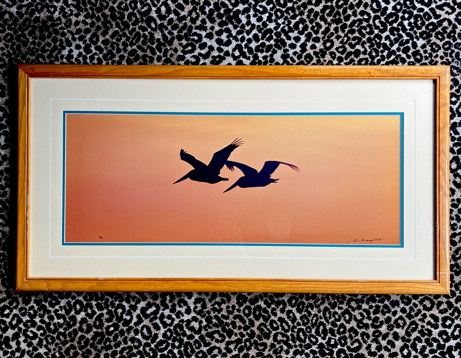 Thomas Mangelsen Signed Art Photo Ltd Pelicans Birds Wings At Dusk Numbered MCM