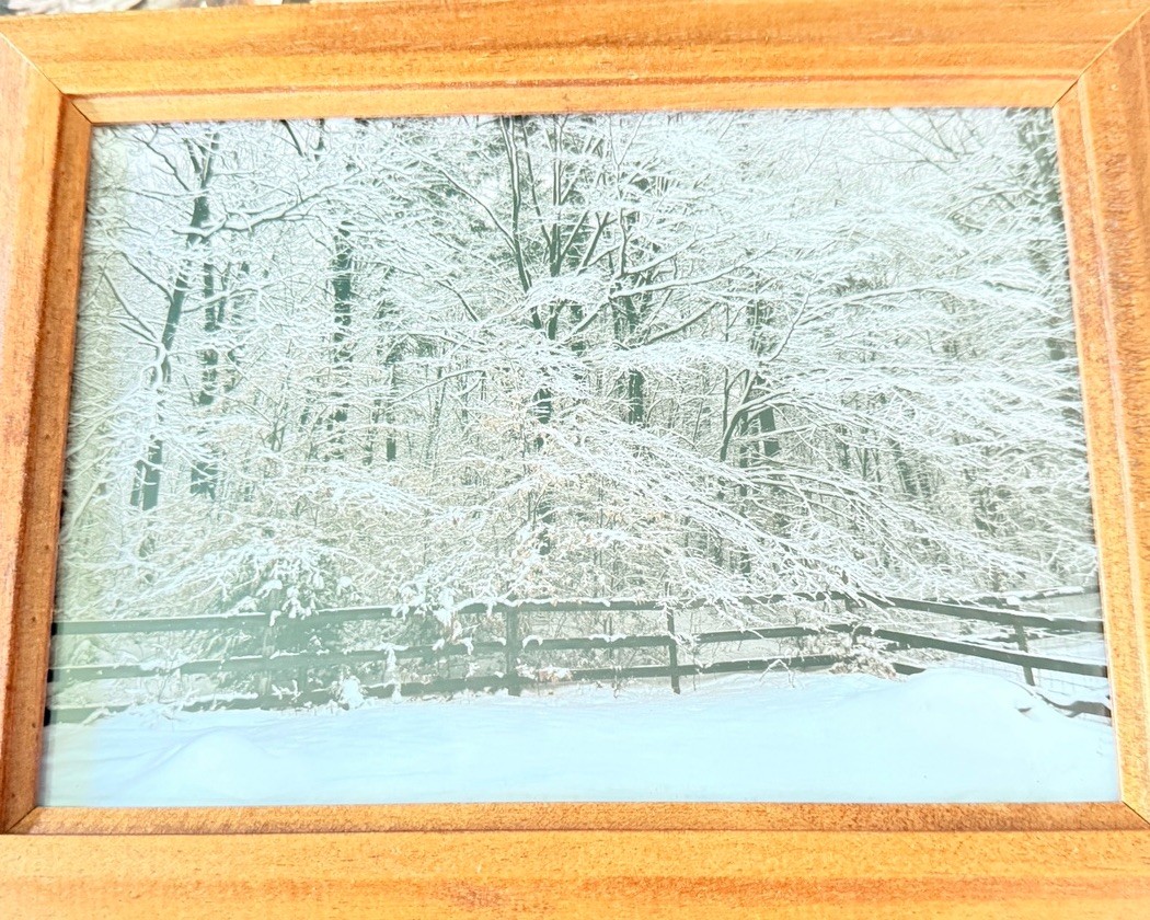Original photograph, ‘Spiderweb of Snow’ by Serene Scenes in Maine, 5×7
