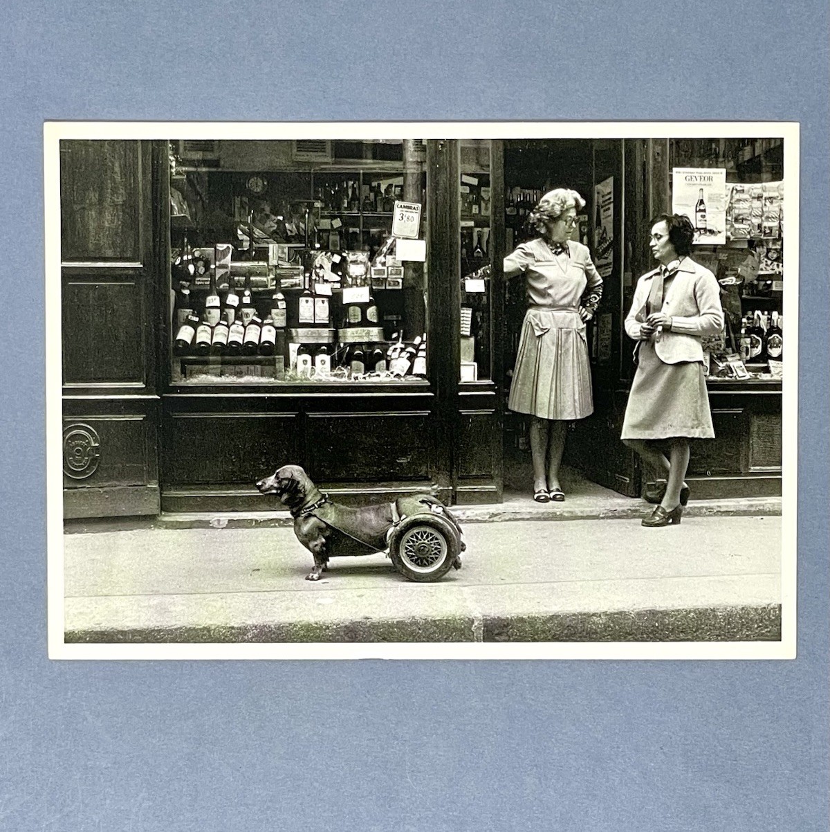 Robert Doisneau Art Photo Print Card – Dog On Wheels, 1977 – Fotofolio 4”x6”