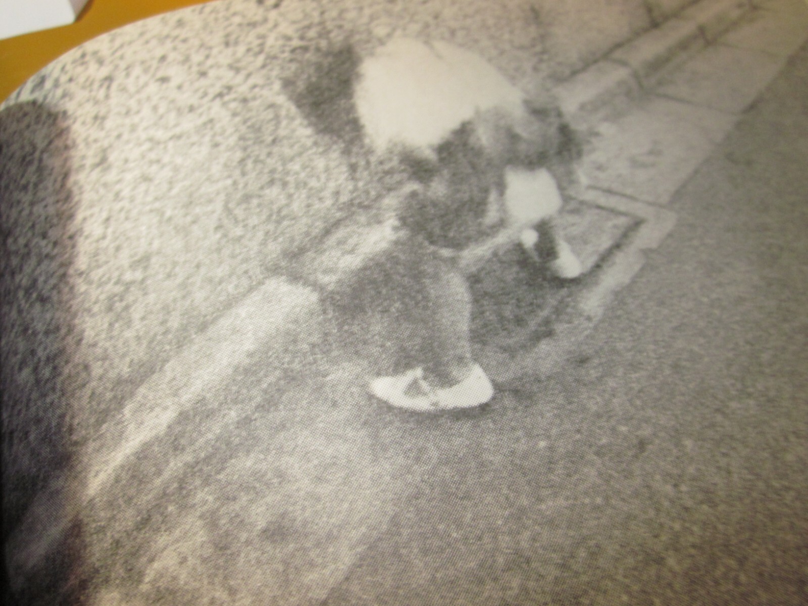 Shuji Terayama Sa-sa otatiai 1968 1st. edition Japan