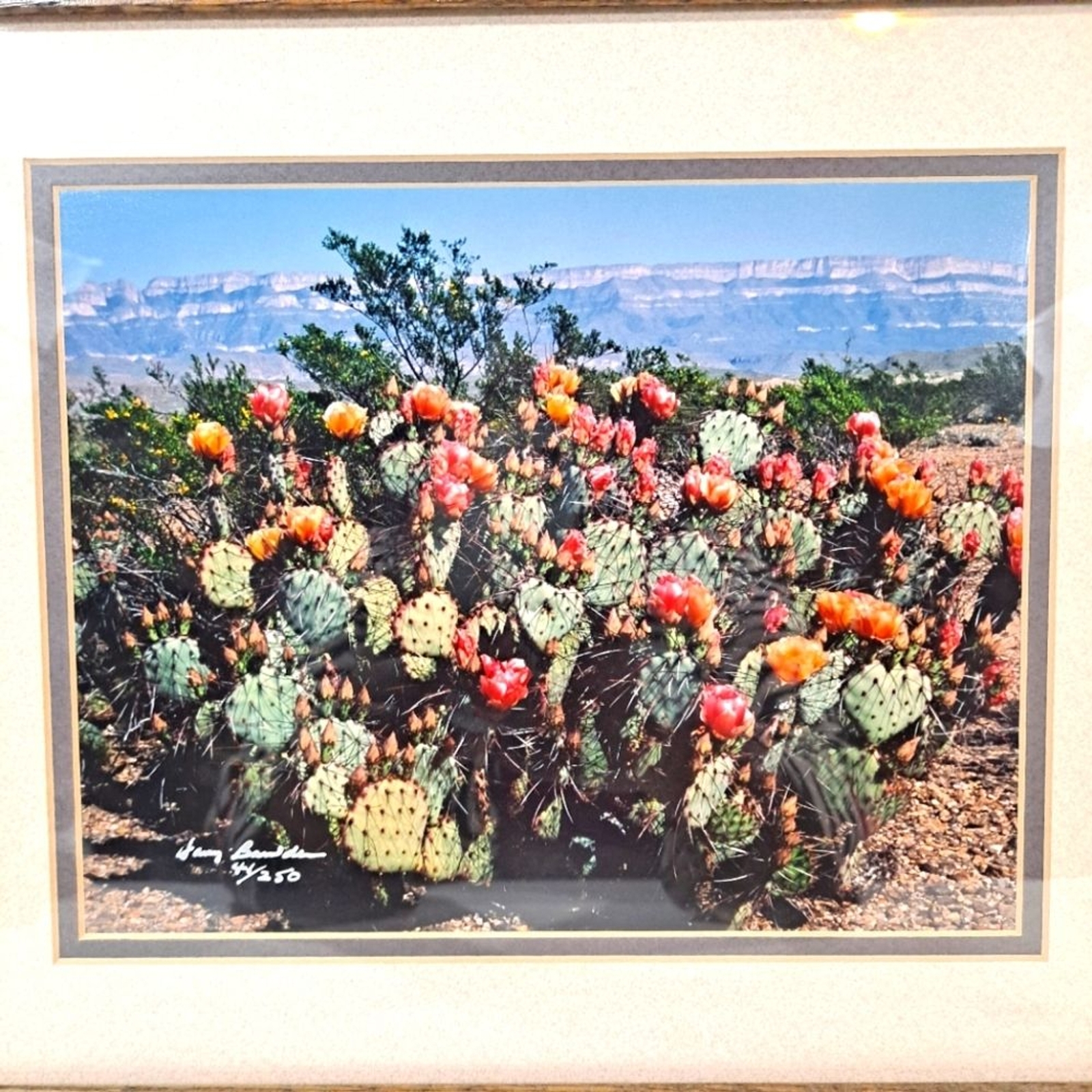Harry Bowden “Boquillas Spring” Framed Photo & Matted Limited Edition Signed