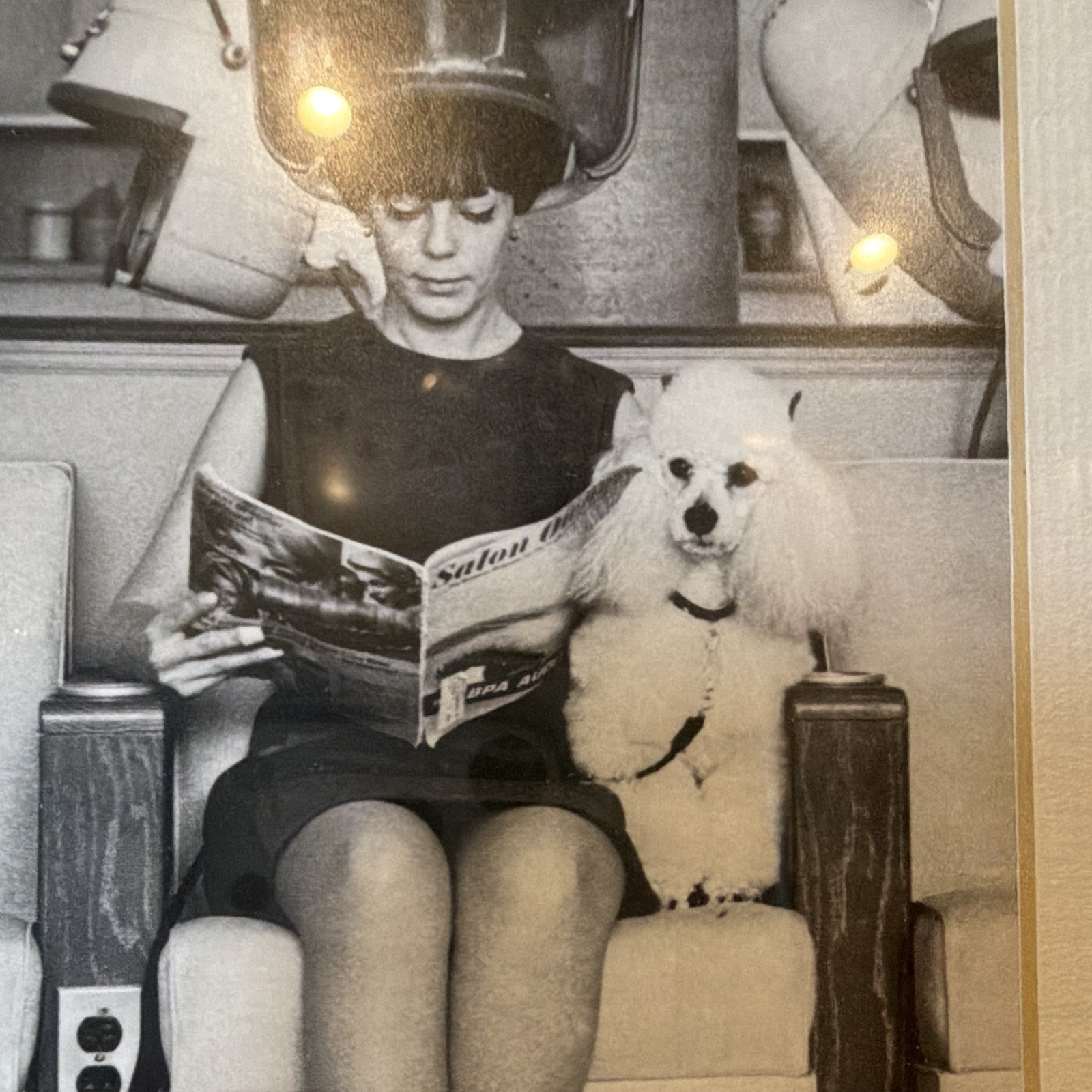 Vintage Black & White Photograph Woman Under Hair Dryer w/ Dog, Framed Matted