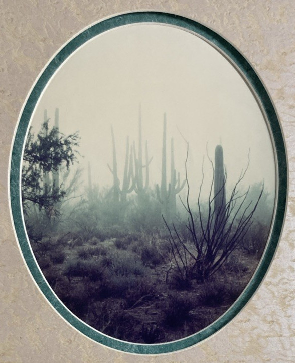 Vintage Original Photography Print Southwestern Saguaro Desert Misty Morning