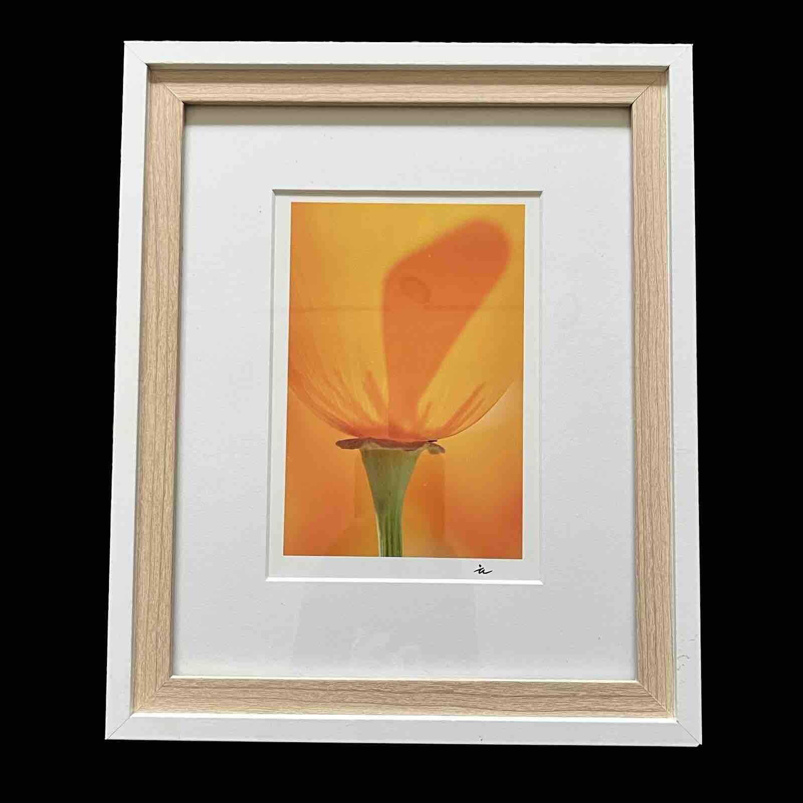 California Poppy Flower Art Photograph Signed & Framed