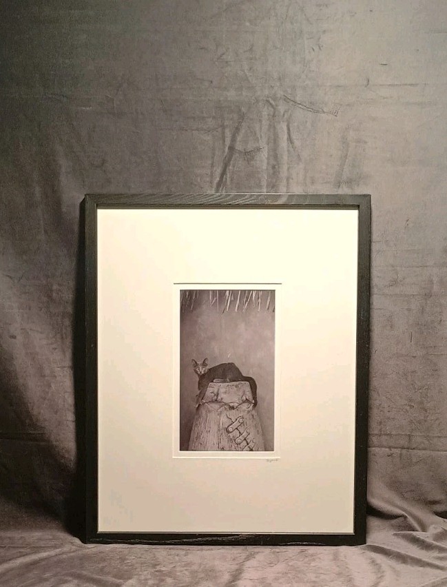 Sophisticated Kitty Cat Black & White Art Photography 17 X 21″ BERGLUND Signed
